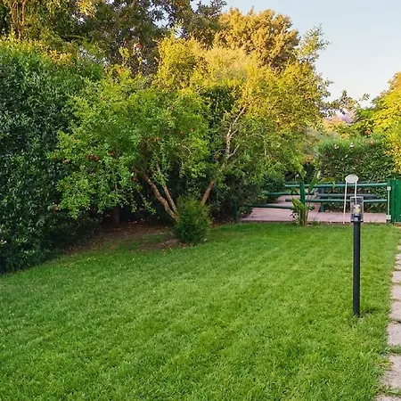 Tiny Park House *